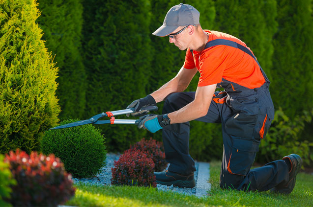 Travaux d’entretien d’espaces verts dans la Somme