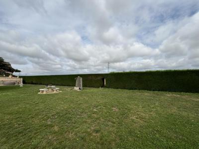 taille de haie secteur Albert