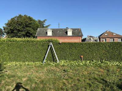 Reprise en main d’un jardin à Dury