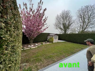 Rénovation de pelouse